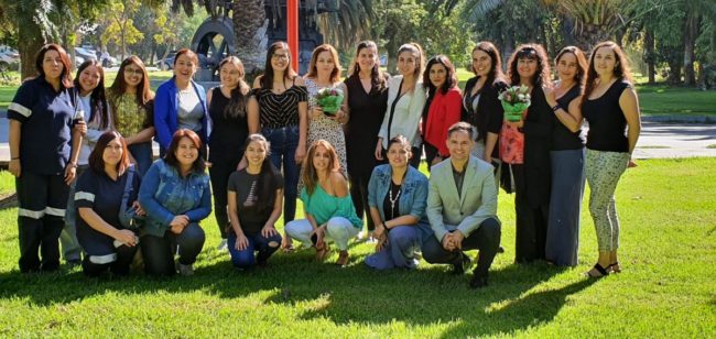 implementacion norma nch 3262